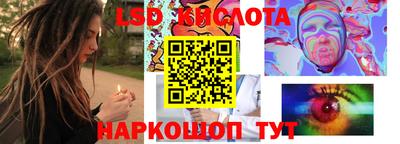 ECSTASY Камышлов