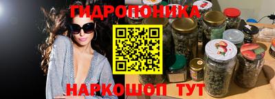 ECSTASY Камышлов