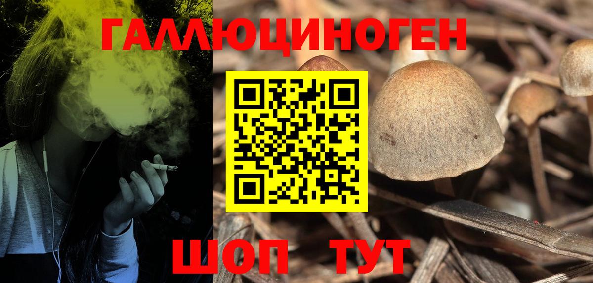 Галлюциногенные грибы прущие грибы Костомукша